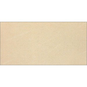 Gạch ốp tường Trường Thịnh  COOLSTONE C36110